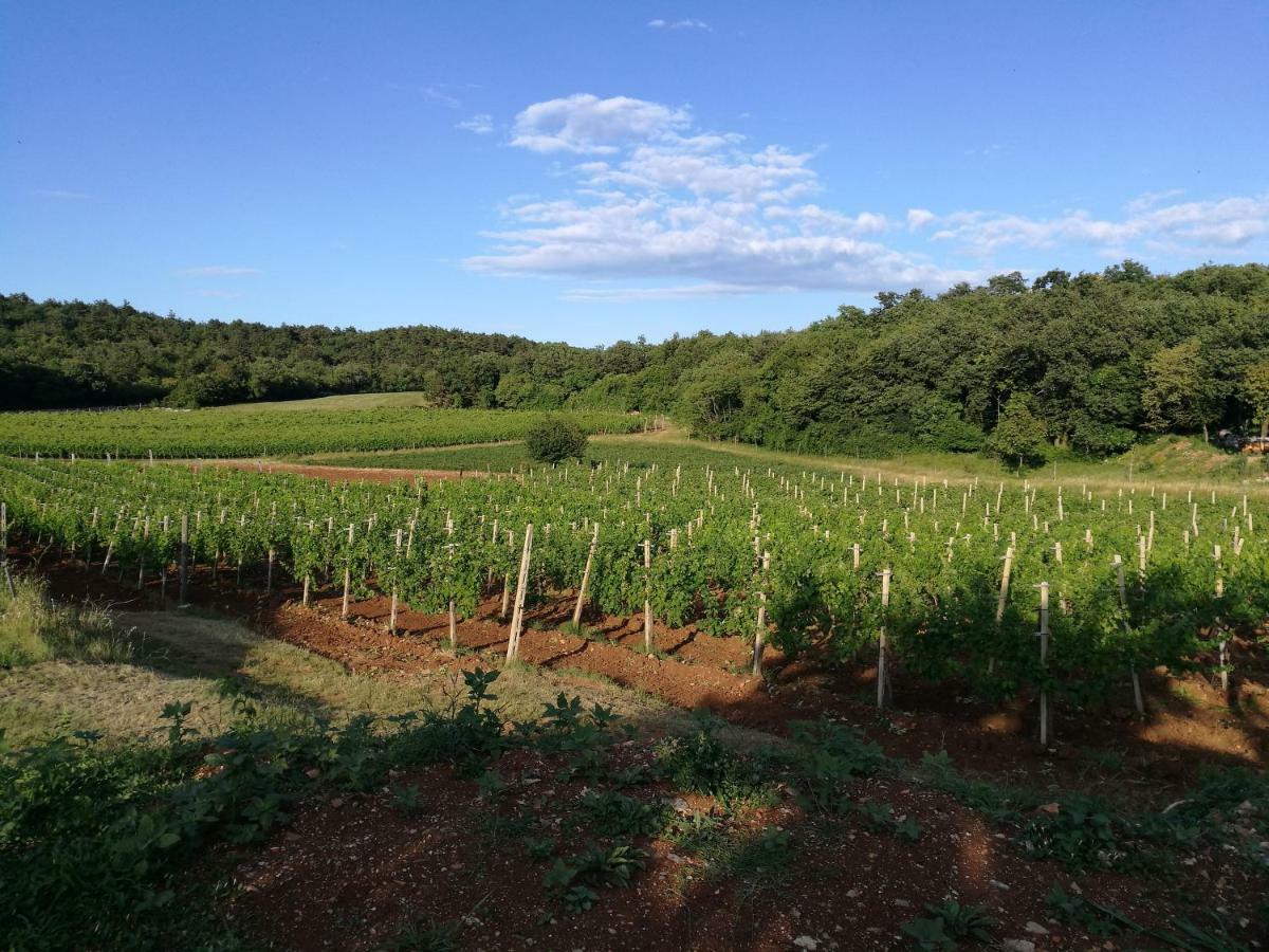 Agriturismo Ostrouska Sgonico المظهر الخارجي الصورة